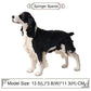 FLORMOON Animals Figure - Realistic Springer Spaniel Dog Figurines - Early Educational Toys Science Project Christmas Birthday for Boys and Girls