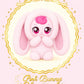 RaoNEE Princess Catch Teenieping Season 6 Plush Doll 8" Pink Bunny Heartsping 2026 NEW