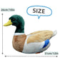 FRANKIEZHOU Realistic Mallard Duck Plush-12”Long, Lifelike Duck Stuffed Animal, Duck Plush, Soft Duck PlushToys,Gifts for Kids,Baby Gift,Cute