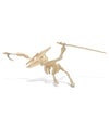 Puzzled Pteranodon 3D Woodcraft Jigsaw Construction Puzzle Kit - Wooden Flying Dinosaur Skeleton Model 23 Pieces Precut Woods - Awesome Brain Teasing