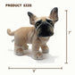 Roqei Realistic French Bulldog Stuffed Animal - Soft Dog Plush Toy, Cute Frenchie Puppy Doll for Kids, Dog Lovers & Gifts, Lifelike Design, 9 inches