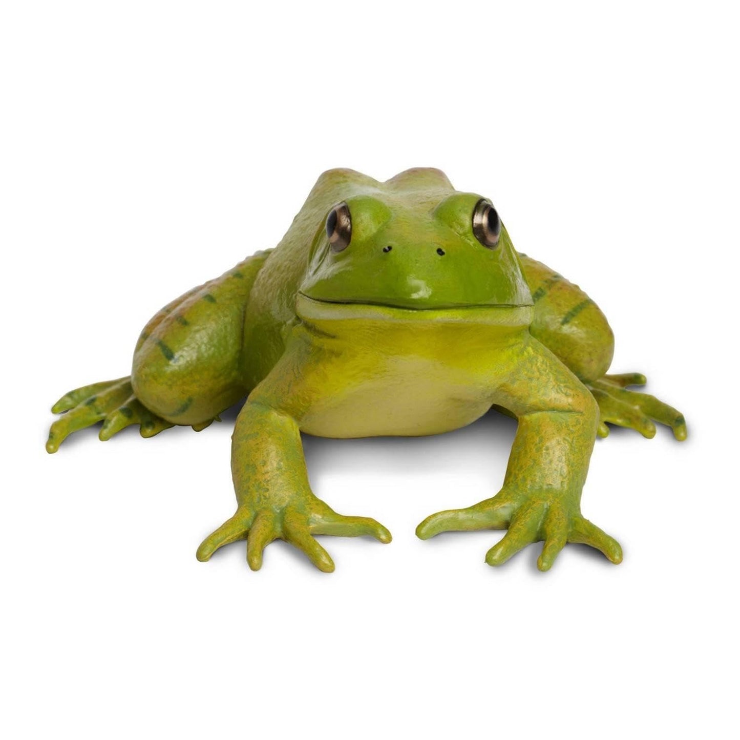 Safari Ltd. American Bullfrog Figurine - Realistic 4.75" Model Figure - Educational Toy for Boys, Girls, and Kids Ages 18M+