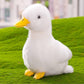8 Inch Small Yellow Duck Plush Toys Duck Stuffed Toys (Yellow)
