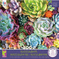 Succulents - Succulent Synergy Puzzle - 300 Pieces