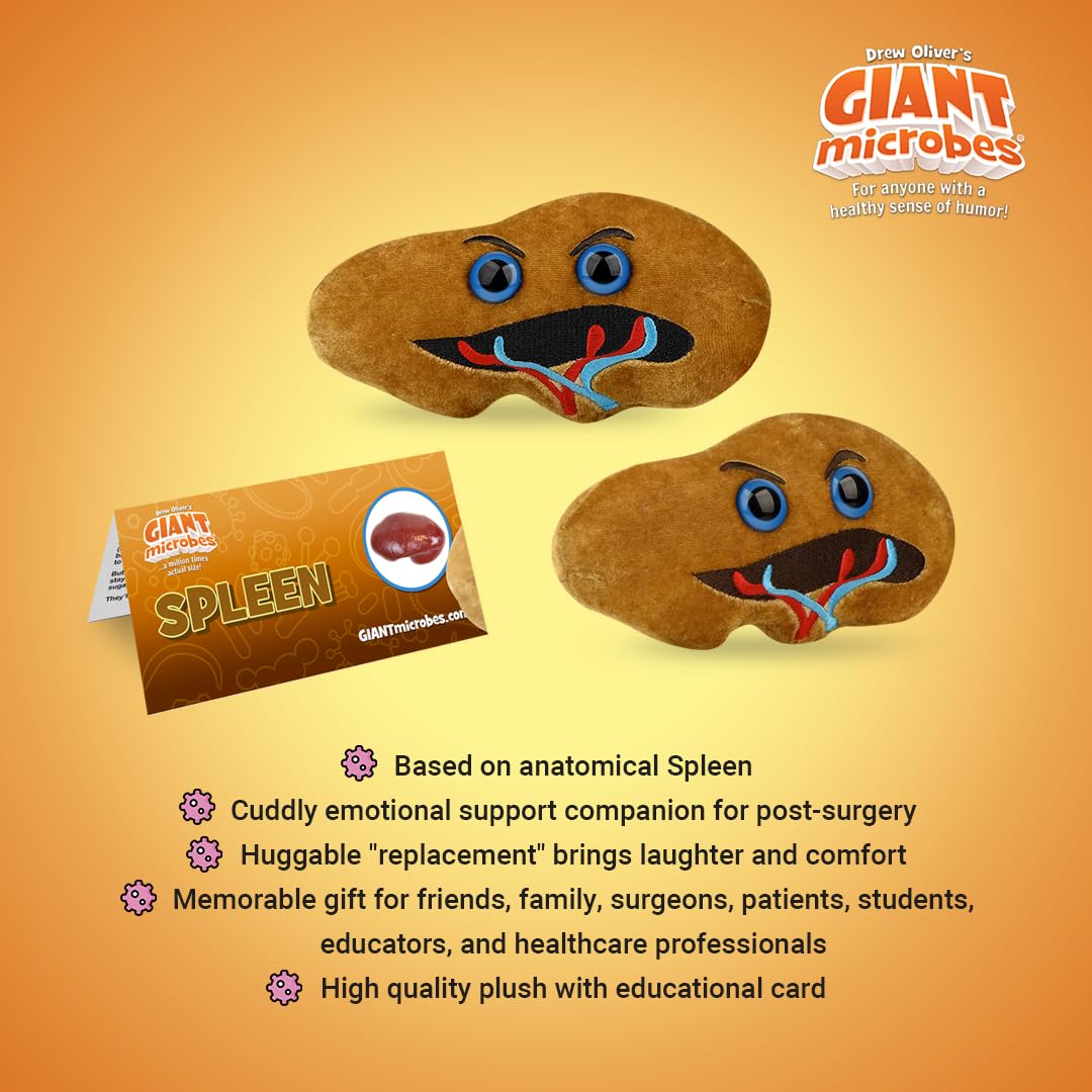 GIANT MICROBES Spleen Plush, Spleen Removal, Surgery Recovery Gifts, Lymphatic System, Get Well Gifts, Organ Plushies, Splenectomy Recovery