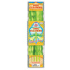 eeBoo Summer Bug Pipe Cleaner