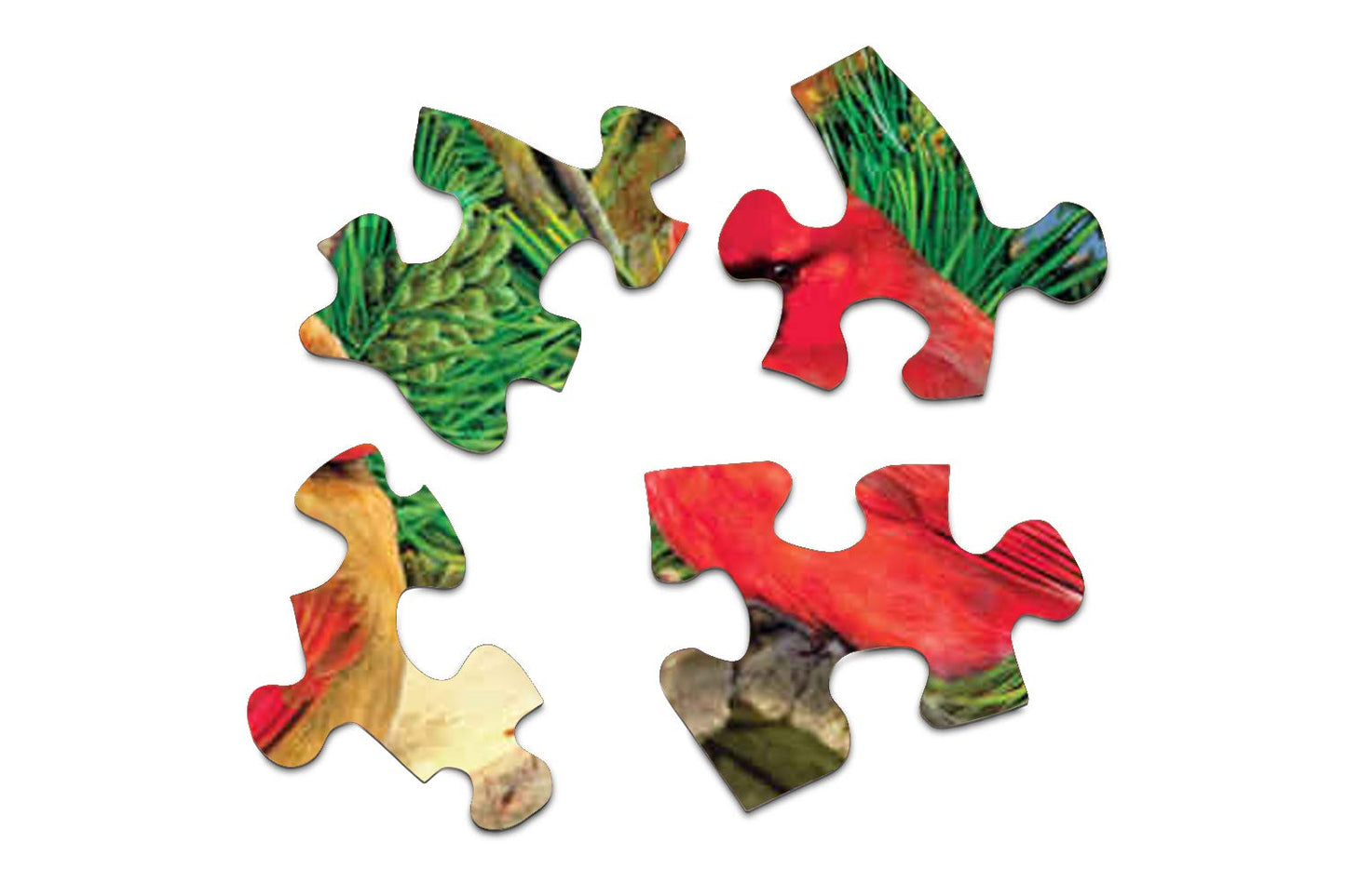 Springbok's 350 Piece Jigsaw Puzzle Feathered Retreat - Made in USA