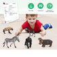 Volnau Safari Animal Figurines Toys 13PCS Africa Figures for Kids Toddlers Christmas Decoration Gift Preschool Educational Zoo Pack Lion Jungle Forest