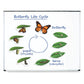 Learning Resources Giant Magnetic Butterfly Life Cycle - Write-and-Wipe Teaching Aids and STEM Decor, Butterfly Life Cycle Models, Dry Erase