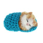 Coolayoung 7Pcs Sleeping Cat in Slipper Doll Toy, Mini Kitten in Shoe with Meows Sounds Decor Hand Toy Gift for Kids Boys Girls