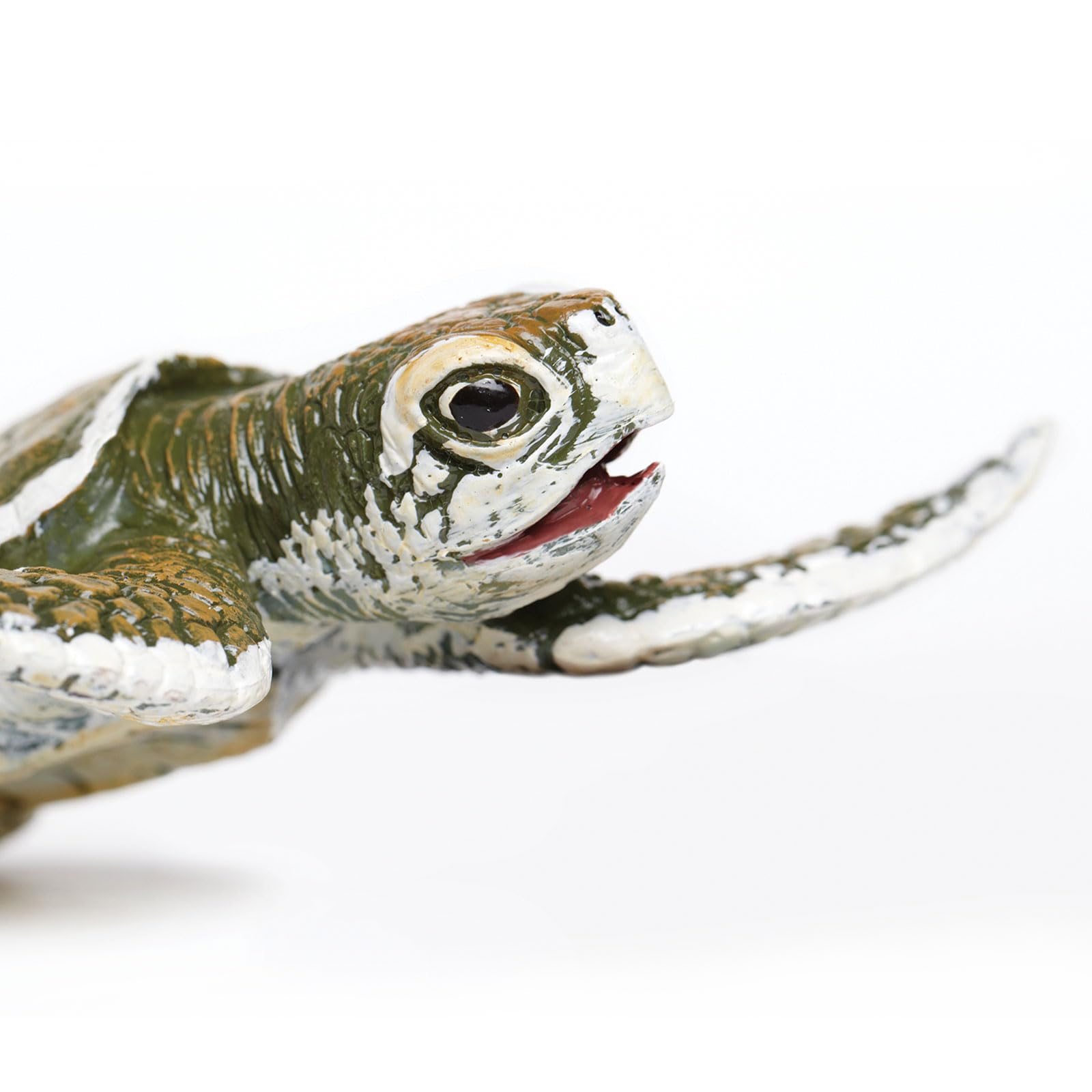 Safari Ltd. Kemp's Ridley Sea Turtle Baby Figurine - Lifelike 5" Model Figure - Educational Toy for Boys, Girls, and Kids Ages 18M+