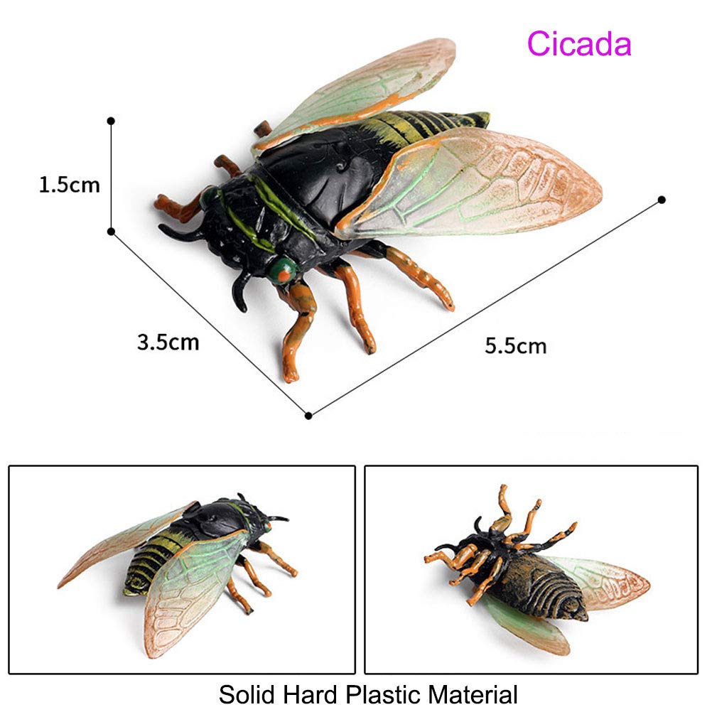 JOKFEICE Animal Figures 3 pcs Realistic Plastic Golden Cicada Family Action Model Science Project, Learning Educational Toys, Birthday Gift, Cake