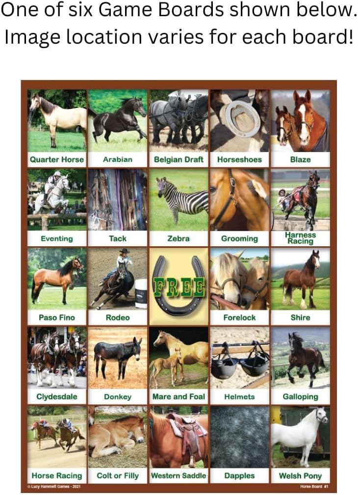 Horse Bingo Educational Game | 6 Picture Boards, 42 Informative Cards & Bingo Chips | Fun for All Ages | Made in The USA