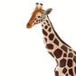Safari Ltd. Giraffe Figurine - Realistic 7" Safari Figure - Educational Toy for Boys, Girls and Toddlers Ages 1+