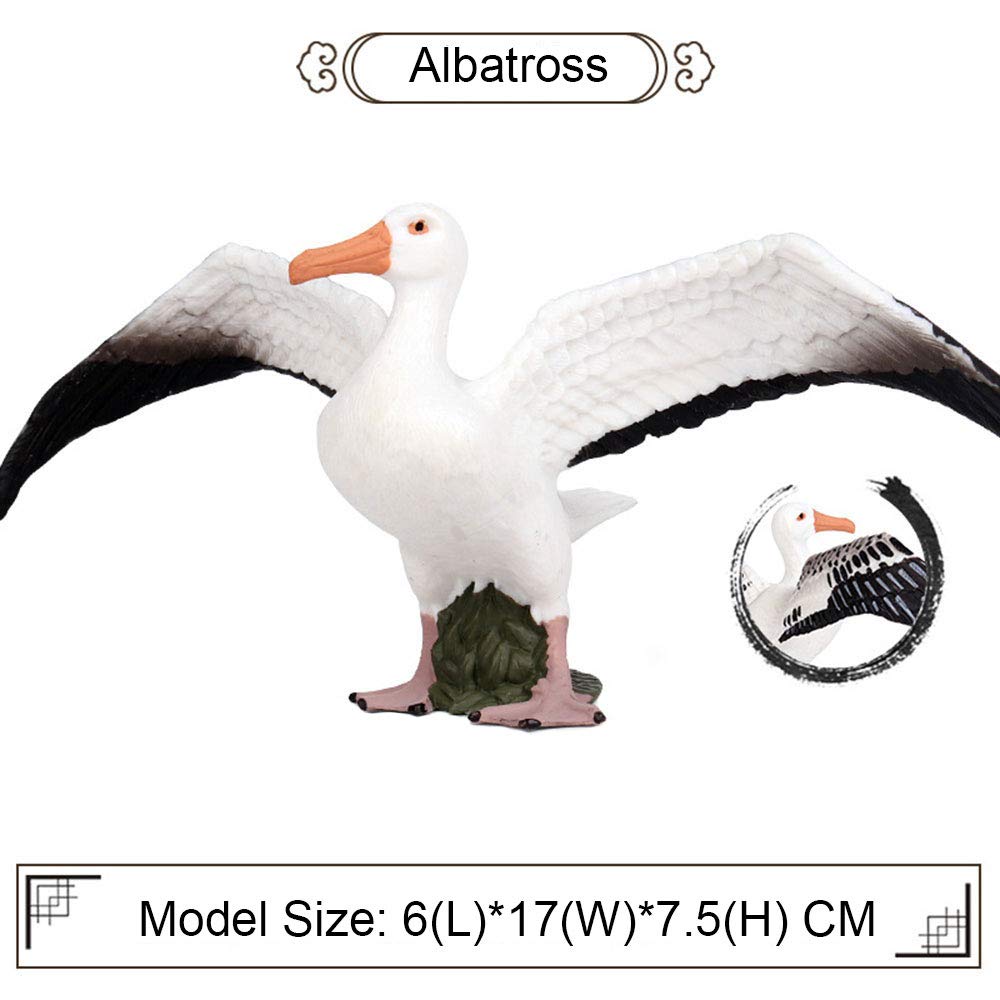 FLORMOON Albatross Figure Realistic Animal Figurines Early Educational Bird Toy Science Project Christmas Birthday Cake Topper for Kids Toddler