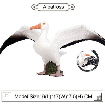 FLORMOON Albatross Figure Realistic Animal Figurines Early Educational Bird Toy Science Project Christmas Birthday Cake Topper for Kids Toddler