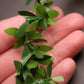 Mini Leaf Garland, Dollhouse Miniature Ivy Leaf Vine Garland, Dollhouse Mini Wreath, Miniature Christmas Garland, for Making 1:6 Scale Dollhouses