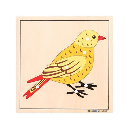 Montessori Bird Anatomy Puzzle, Wooden Body Parts Learning Toy, Preschool Science Puzzle for Kids Ages 3-6, Classroom & Homeschool, Baltic Birch