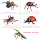 HOMNIVE Insect Bug Toy Figures, 5pcs Realistic Ladybug Spider Action Model for Toddler, Educational Learning Toys, Cake Topper, Birthday Gift for Kids