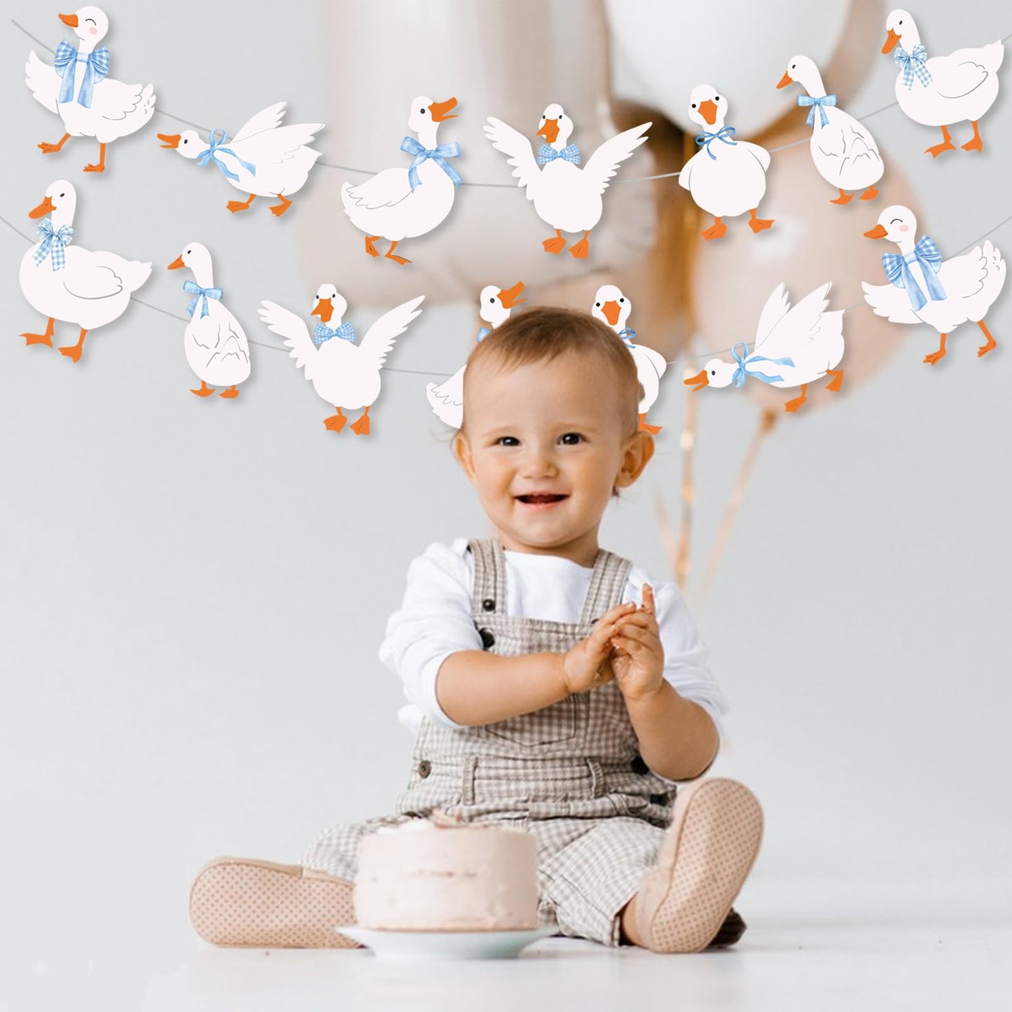 Goose Decor Garland One Silly Goose Birthday Decorations Boy Silly Goose Baby Shower Goose Party Decor One Silly Goose Banner