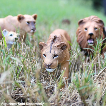 Safari Ltd. Adolescent Male Lion - Detailed 6" Wildlife Figurine - Educational Toy for Boys, Girls, and Kids Ages 3+
