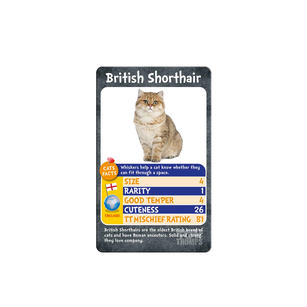 Top Trumps Card Game Cats - Family Games for Kids and Adults - Learning Games - Kids Card Games for 2 Players and More - Kid War Games - Card Wars