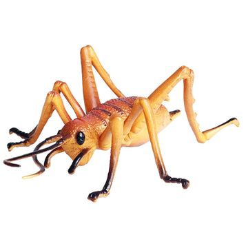 JOKFEICE Realistic Animal Figures Cricket Figurines Insect Toy, Science Project, Cake Topper, Early Educational Toys Birthday for Toddlers Kids Age 3