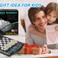 Talking Chess ACADEMY Electronic Chess Set, Magnetic Computer Chess Game with Interactive Teaching System for Beginners, Advanced AI for Improving