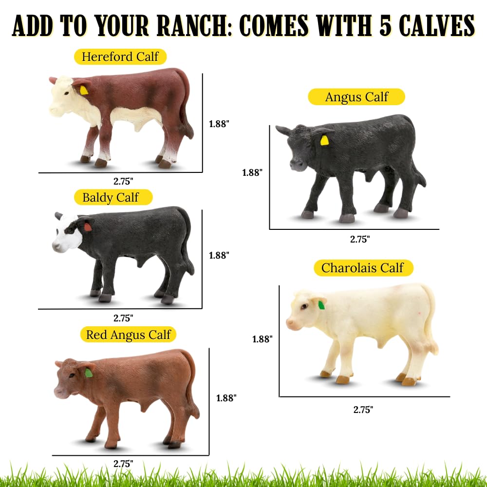 Little Buster Toys Calves Set - 5 Pack; Black Angus, Hereford, Red Angus, Black Baldy, and Charolais; Get All Your Calves in one Deal!