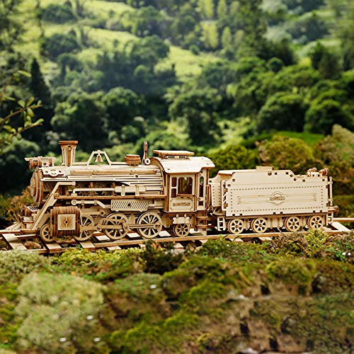 Hands Craft DIY 3D Wooden Puzzle - Prime Steam Express Train Laser Cut Assembly 1:80 Scale Model Building Kit Brain Teaser Educational STEM Toy Adults