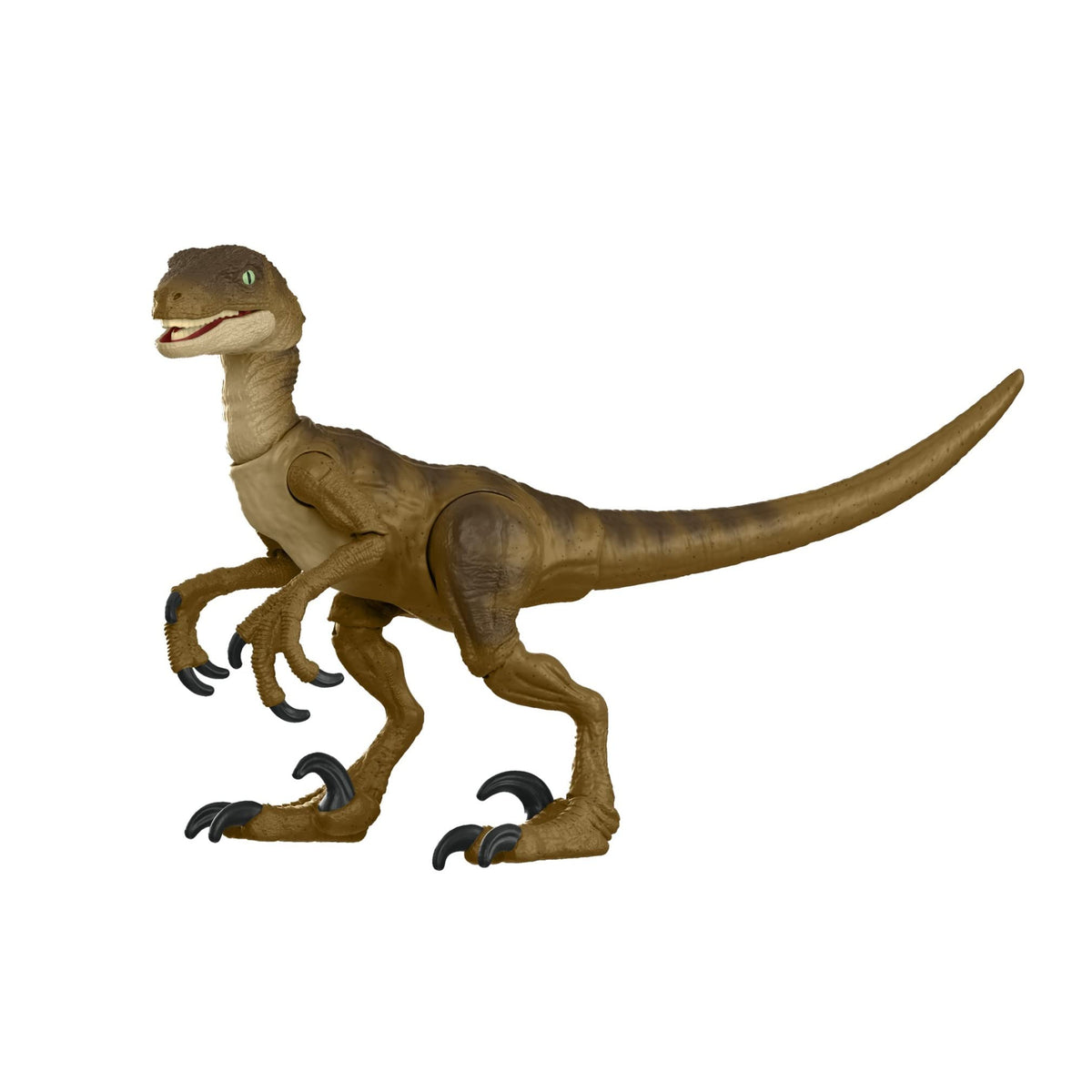 Jurassic World Toys Jurassic Park Hammond Collection Velociraptor Dinosaur Action Figure, 7.5 in Long with 14 Movable Joints, Gift and Collectible