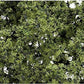 Woodland Scenics Fine Leaf Foliage 75 Square Inches-Light Green