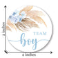 Pampas Grass Team Girl, Team Boy Gender Reveal Stickers - 40 Labels (20 of Each Design)