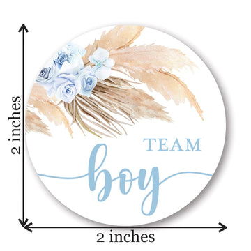 Pampas Grass Team Girl, Team Boy Gender Reveal Stickers - 40 Labels (20 of Each Design)