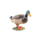 Papo - Realistic Mallard Duck Figure - Ages 3+ - Farm Life Collection - Educational Play Farm Birds - Gift Idea Toy for Girls and Boys