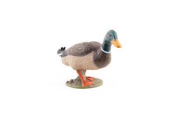 Papo - Realistic Mallard Duck Figure - Ages 3+ - Farm Life Collection - Educational Play Farm Birds - Gift Idea Toy for Girls and Boys