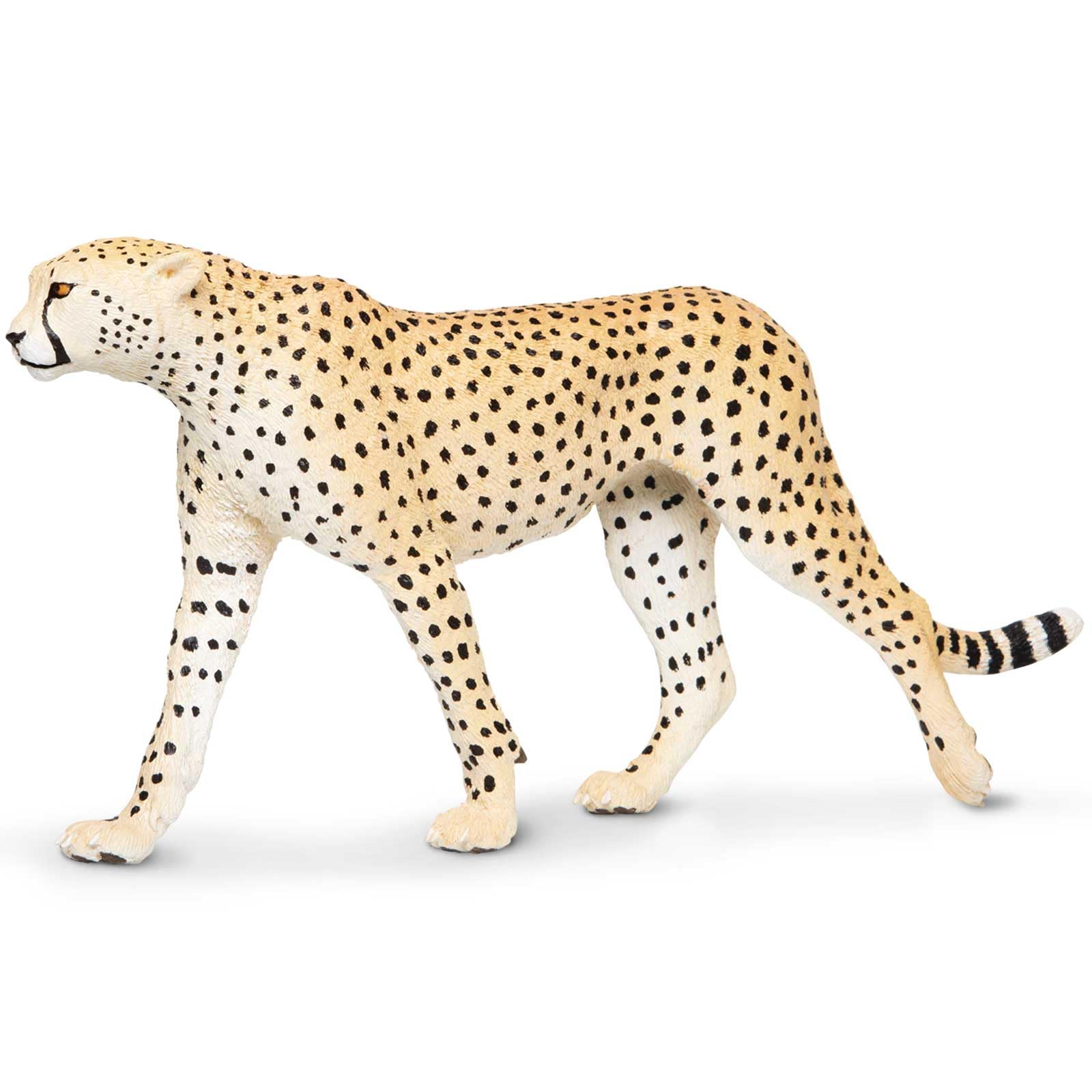 Safari Ltd. Cheetah Toy Figurine - Detailed 8" Plastic Model Figure - Fun Educational Play Toy for Boys, Girls & Kids Ages 3+