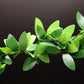 Mini Leaf Garland, Dollhouse Miniature Ivy Leaf Vine Garland, Dollhouse Mini Wreath, Miniature Christmas Garland, for Making 1:6 Scale Dollhouses