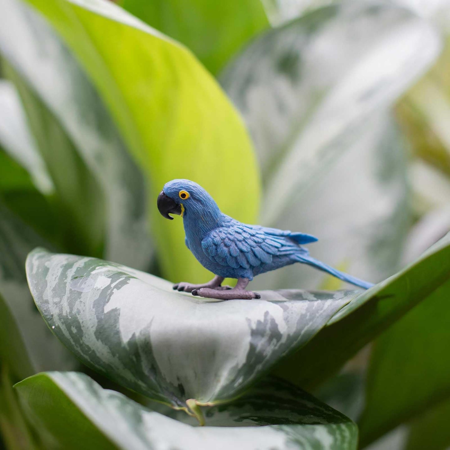 Safari Ltd. Hyacinth Macaw Figurine - Lifelike 4.5" Bird Figure - Educational Toy for Boys, Girls, and Kids Ages 3+