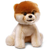 GUND Boo, The World’s Cutest Dog Plush, Realistic Pomeranian Stuffed Animal for Ages 1 and Up, 9”