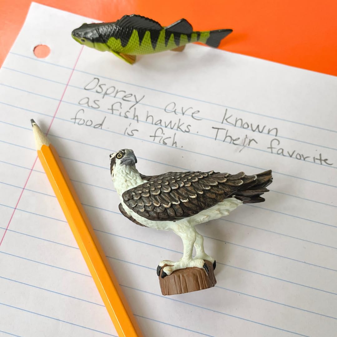 Safari Ltd. Osprey Figure - Realistic 2.75" Bird Figurine - Educational Toy for Boys, Girls, and Kids Ages 3+