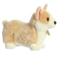 Aurora® Adorable Miyoni® Tots Pembroke Welsh Corgi Pup Stuffed Animal - Lifelike Details Make a Cherished Companion - Perfect for Decorating Bedrooms