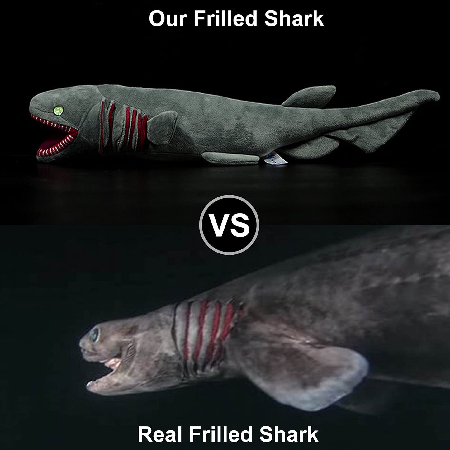 Frankiezhou Home Realistic Frilled Shark Plush Toy - Simulation 20.5" Grey Lifelike Frilled Six Gill Shark Stuffed Toys, Super Soft Sea Creatures