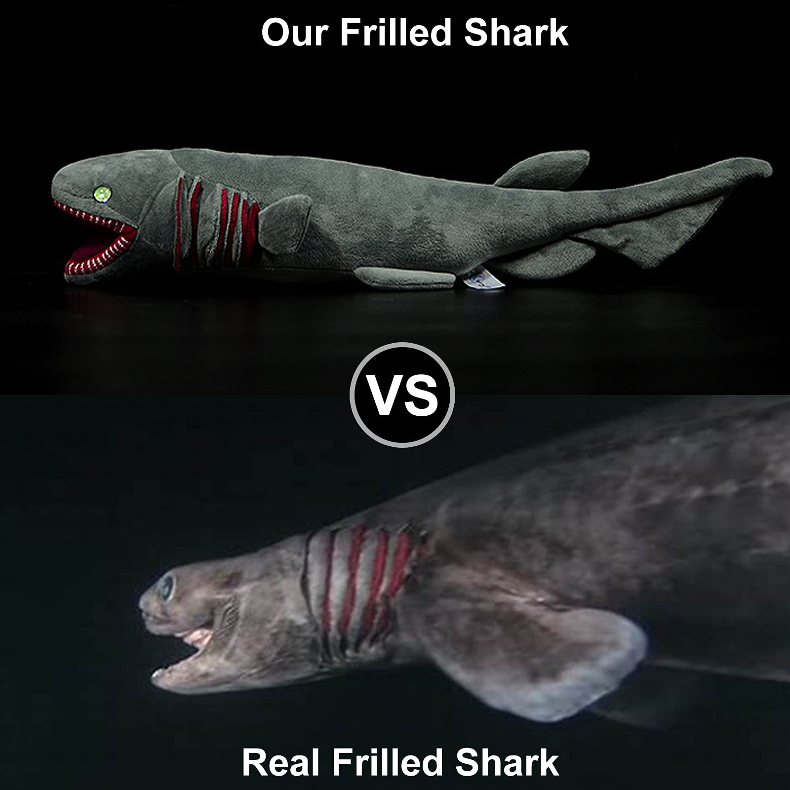 Frankiezhou Home Realistic Frilled Shark Plush Toy - Simulation 20.5" Grey Lifelike Frilled Six Gill Shark Stuffed Toys, Super Soft Sea Creatures