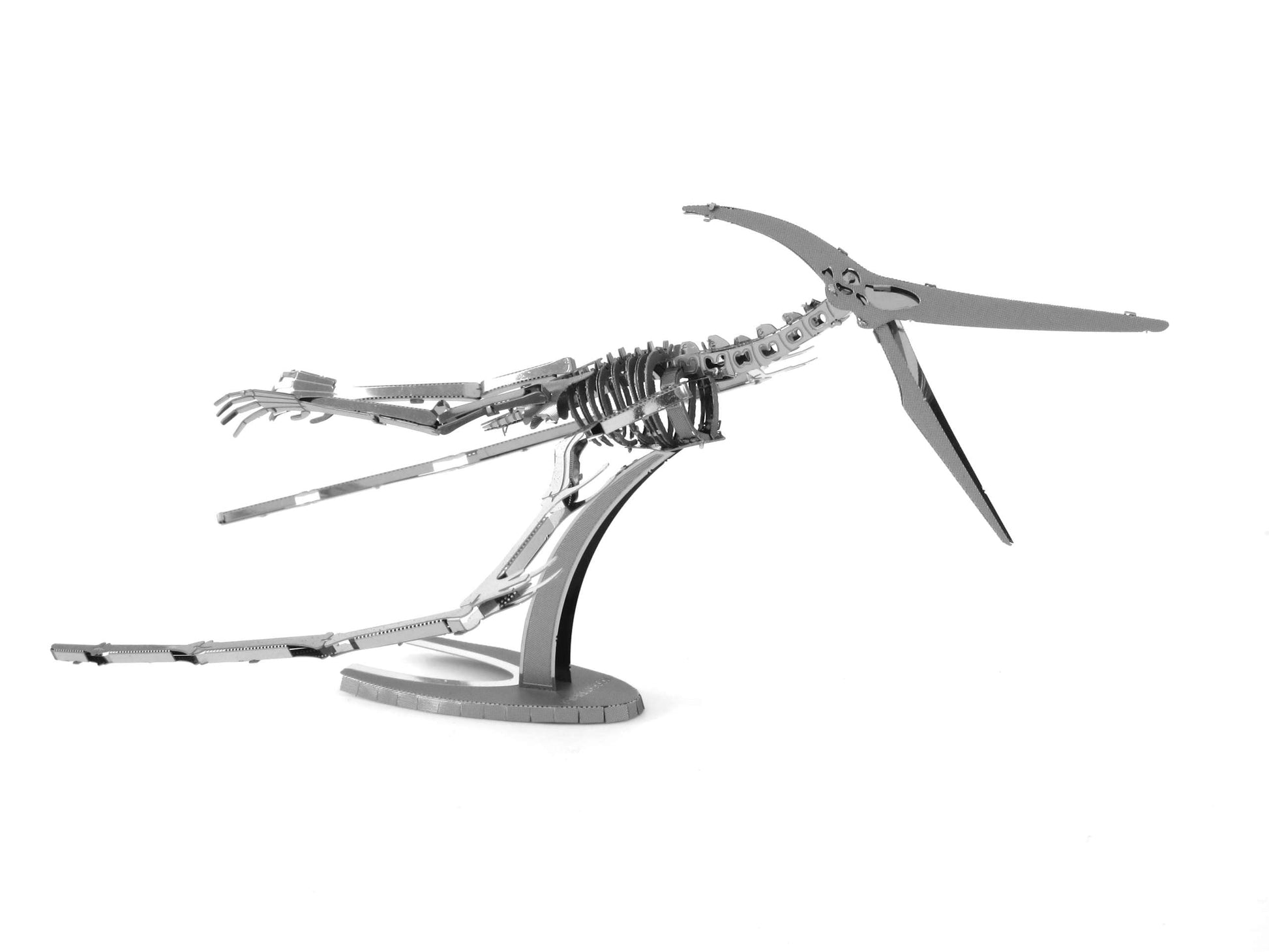 Metal Earth Pteranodon Skeleton 3D Metal Model Kit Fascinations