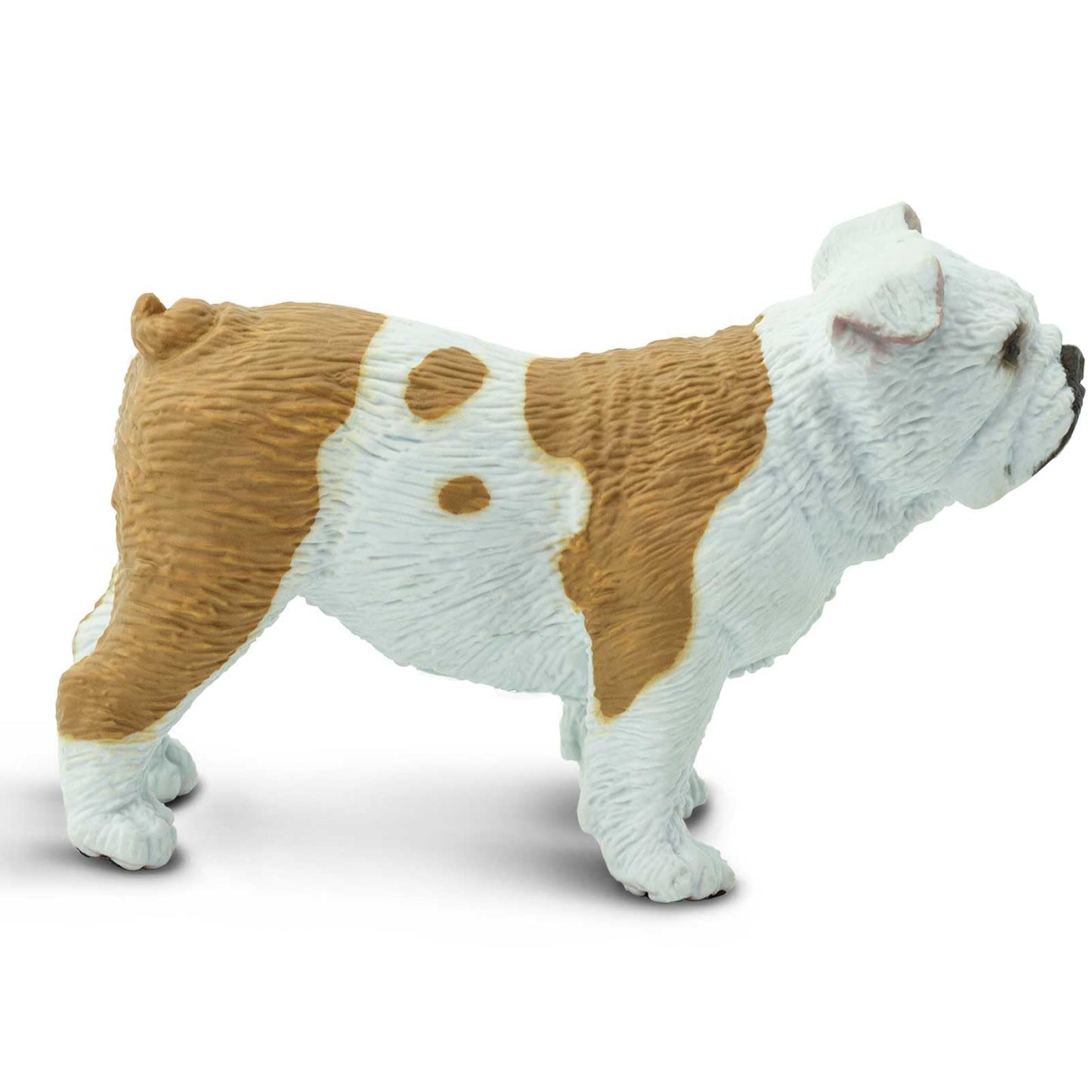 Safari Ltd. Bulldog Figurine - Lifelike 2.25" Model Figure - Educational Toy for Boys, Girls, and Kids Ages 3+