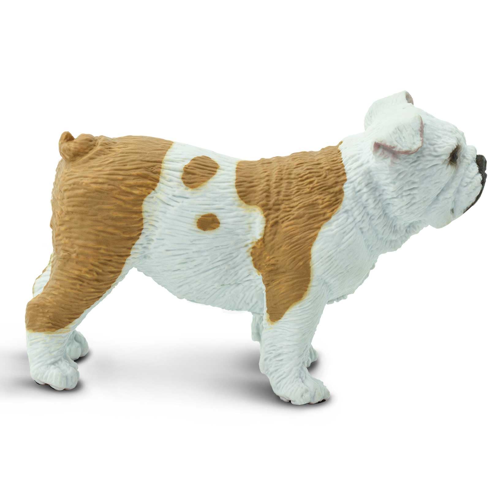 Safari Ltd. Bulldog Figurine - Lifelike 2.25" Model Figure - Educational Toy for Boys, Girls, and Kids Ages 3+