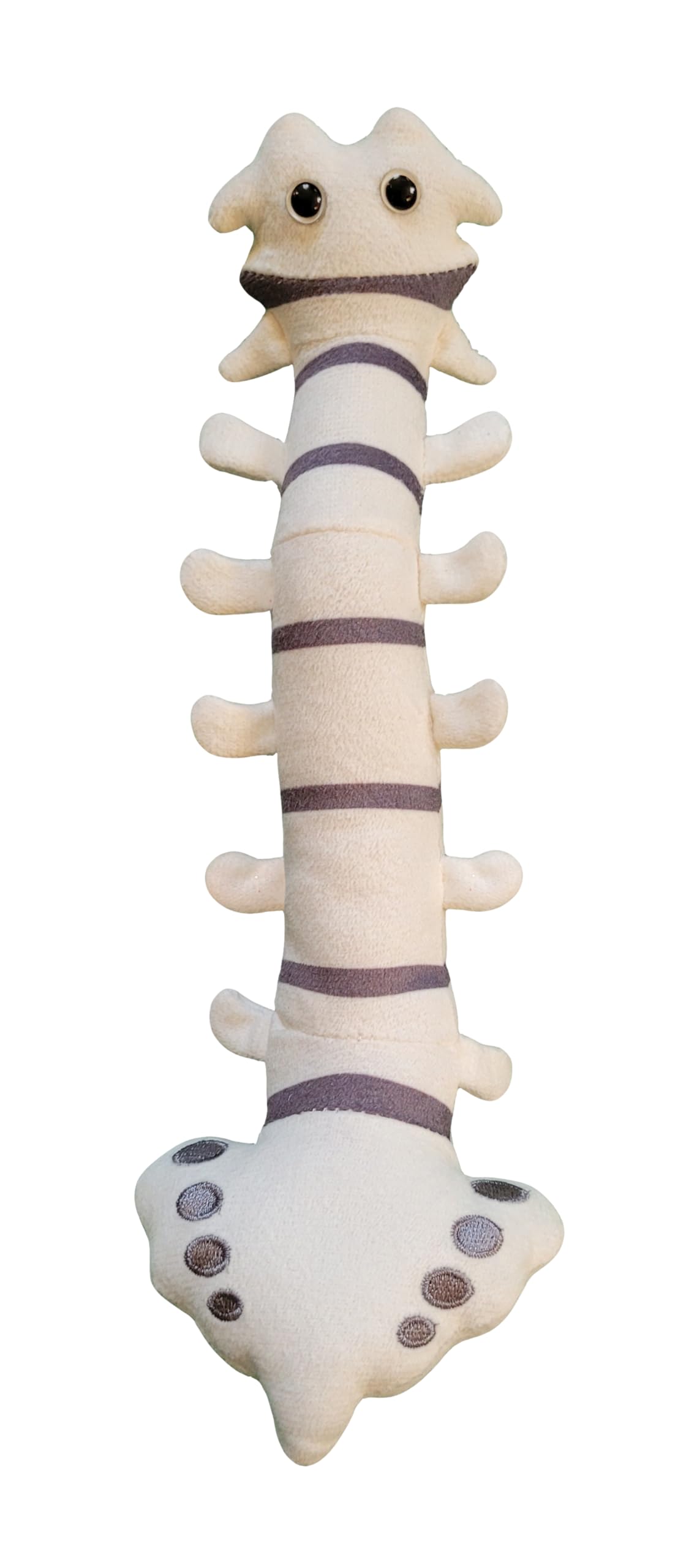 GIANT MICROBES Spine Plush, Spine Surgeon, Back Surgery Recovery, Anatomy Model, Neurology Gifts, Funny Chiropractor Gift, Neurosurgery Gifts, Back