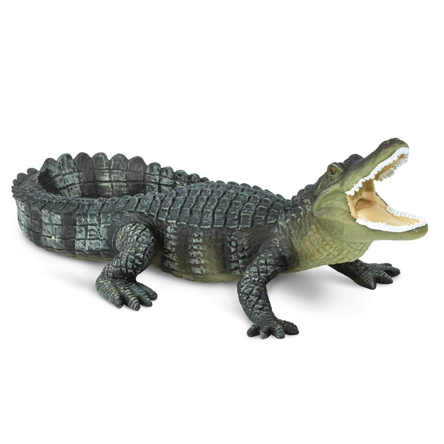 Safari Ltd. Alligator Figurine - Lifelike 6" Reptile Figure - Educational Toy for Boys, Girls, and Kids Ages 3+