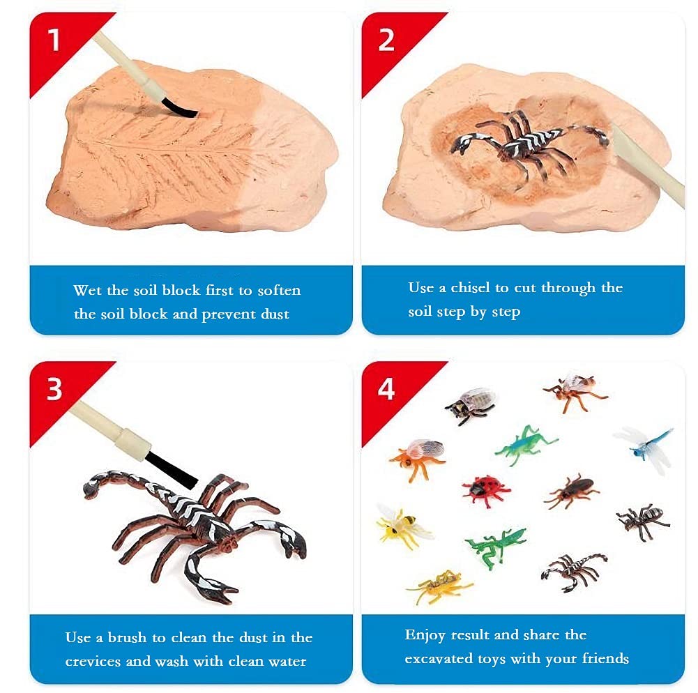 TRADE Big Bug Fossil Dig Kit - STEM Science & Educational Toys -Dig Up 12 Real Bugs Fly Ant Scorpion Lady Beetle Locust Cockroach Bumble Bee Cicada